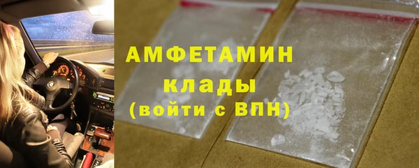 сатива Куйбышев