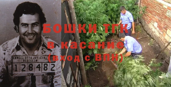 сатива Куйбышев