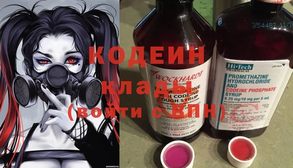 дмт Лагань
