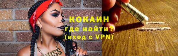 сатива Куйбышев