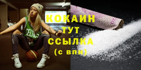 сатива Куйбышев