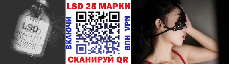 дарк нет клад  omg как войти  Новоржев  Лсд 25 экстази кислота 