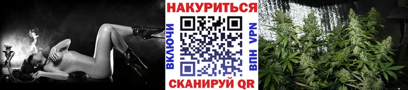 сколько стоит  Новоржев  МАРИХУАНА гибрид 